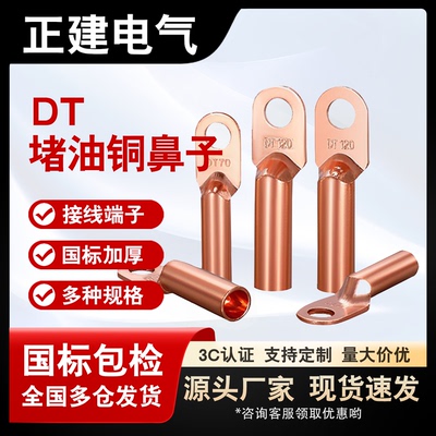国标DT镀锡纯铜加厚铜鼻子