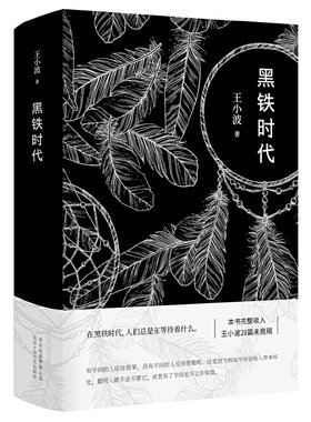 黑铁时代王小波小说集