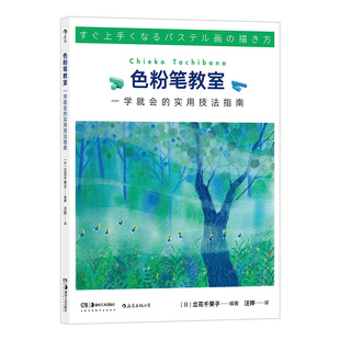 正版现货 色粉笔教室 一学就会的实用技法指南 蜡笔色粉静物艺术绘画教程书籍