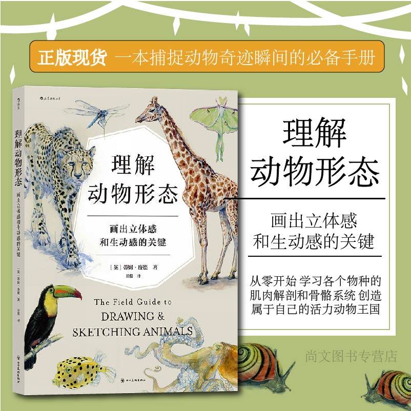 四川美术出版社艺术绘画书籍