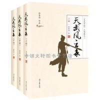 正版现货 天武风云录全3册 彭泰铭 著 武侠畅销小说