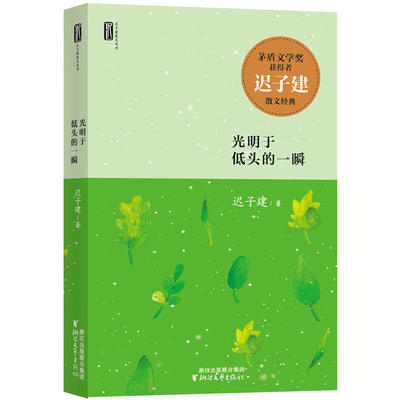 现货包邮 迟子建散文系列：光明于低头的一瞬 作者:迟子建 出版社:浙江文艺出版社