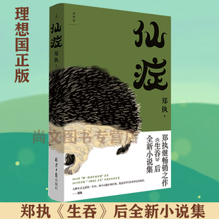 正版现货 仙症  郑执 生吞 我在时间尽头等你 穷鬼乐园 东北文艺复兴 铁西三剑客 鲤·时间胶囊 迟子建 双雪涛 班宇