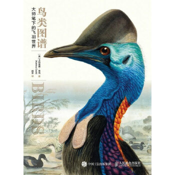 正版现货: 鸟类图谱 大师笔下的飞羽世界 9787115432698 人民邮电出版社 【英】卡特里娜·库克(Katrina Cook)