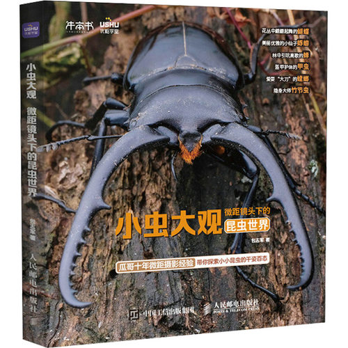 小虫大观微距镜头下的昆虫世界 9787115635884 人民邮电出版社