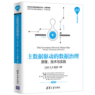 正版现货： 主数据驱动的数据治理——原理、技术与实践（清华开发者书库） 9787302522959 清华大学出版社 王兆君，王钺，曹朝辉