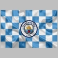 Agl1991 Team Logo