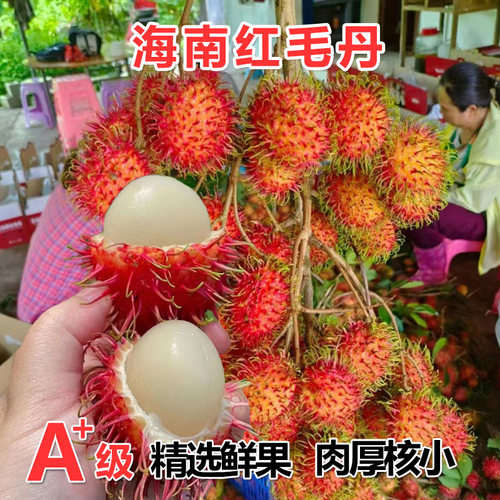 海南红毛丹水果新鲜泰国毛荔枝带箱5斤现摘当季热带孕妇水果包邮