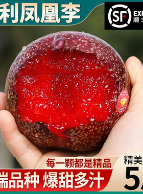 新鲜水果恐龙蛋美国进口绿宝石李情人李黑金刚夜玫瑰3斤大果顺丰