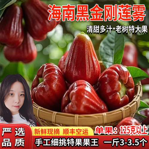 5斤送礼新鲜现摘热带孕妇水果