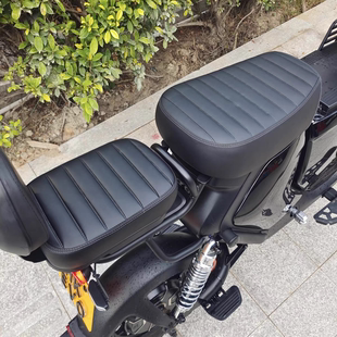 009深远GT1电动车后坐垫毛毛虫靠背T90后座垫舒适扶手加宽加厚