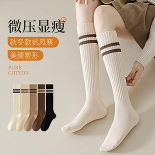条纹小腿袜子女秋冬款 纯棉压力瘦腿袜日系jk长筒袜显瘦半筒袜堆堆