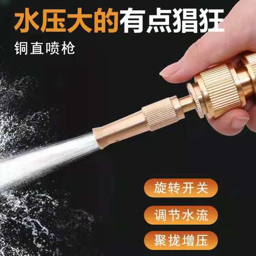 纯铜4分水枪便携式洗车高压家用