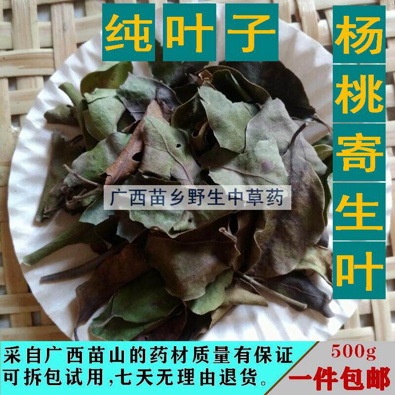 苗山野生酸杨桃树寄生叶 阳桃木寄生叶 洋桃寄生叶 纯叶干品500g图片