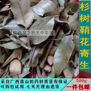 苗山野生杉树鞘花寄生 杉寄生 杉木寄生 中草药 切片干品500g包邮