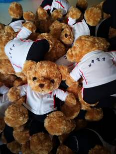 成都七中育才学校校服熊公仔娃娃（可定制定做各个学校的校服熊）