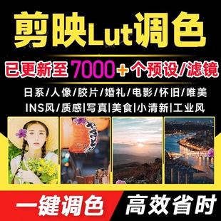 剪映Lut调色预设剪影电脑版专业版视频人像风景调节调色pr滤镜