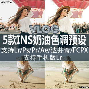 索尼hlg灰片风格化调色插件vlog网红ins旅拍预设lut滤镜pr/fcpx