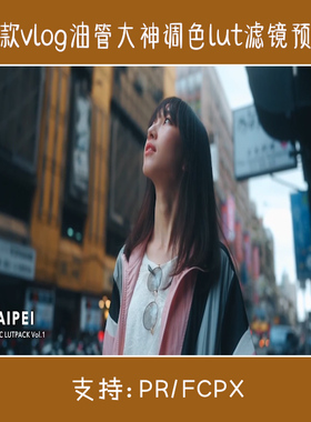 finalcutprox调色auxout油管vlog视频大神电影lut滤镜预设pr/fcpx