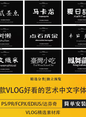 vlog视频剪辑好看的艺术中文字体包ps/pr/fcpx/edius/达芬奇/苹果