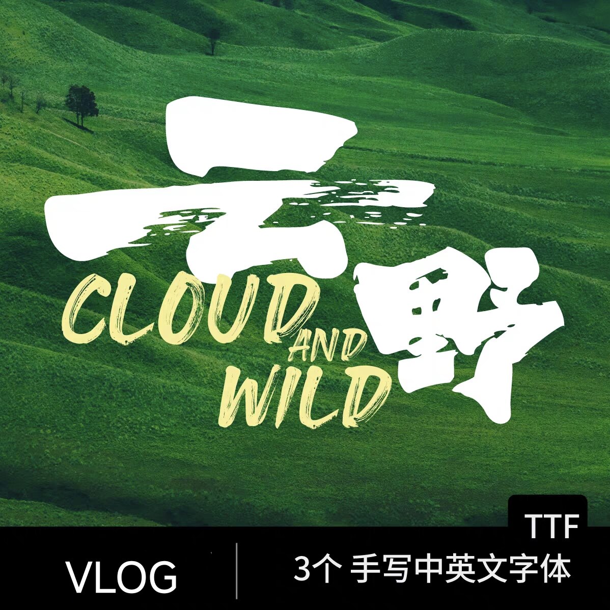 达芬奇字体书法笔刷中英文大气磅礴书法ps ai procreate书法字体图片