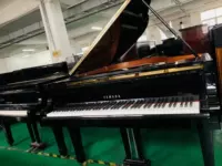 Nhật Bản nhập khẩu đàn piano chuyên nghiệp chính hãng Yamaha Yamaha G3 G3 mới chín mươi chín mới - dương cầm đàn piano nhỏ