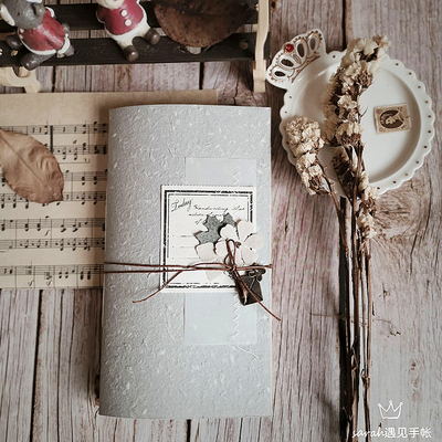 特种纸内芯2021手帐本本