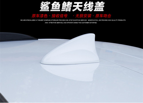 适用天线改装雷诺风景K-ZE白色