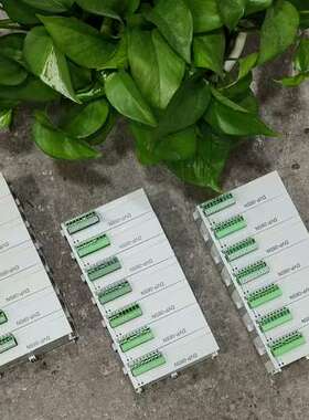 议价台达PLC模块 DVP08SN11R