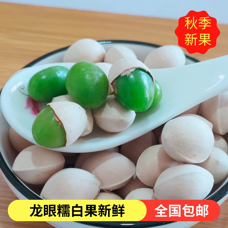 2024新鲜糯白果银杏果圆果邳州特产包邮送食谱送开果器