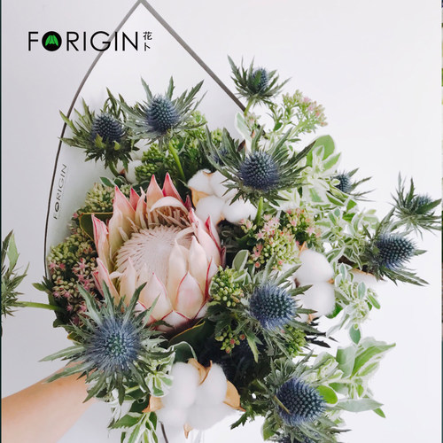 进口帝王花鲜花北京同城生日男士