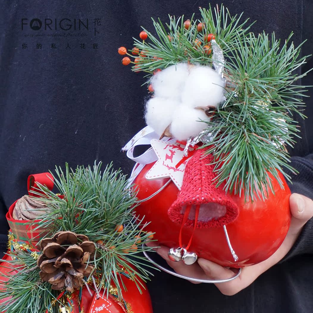 进口朱顶球圣诞春节懒人植物北京