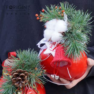 年宵新年进口蜡球朱顶红懒人植物北京同城速递礼物企业商务  生日