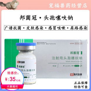 联邦动保邦菌冠头孢噻呋钠犬猫宠物消炎抗病菌毒尿路细菌感染肺炎