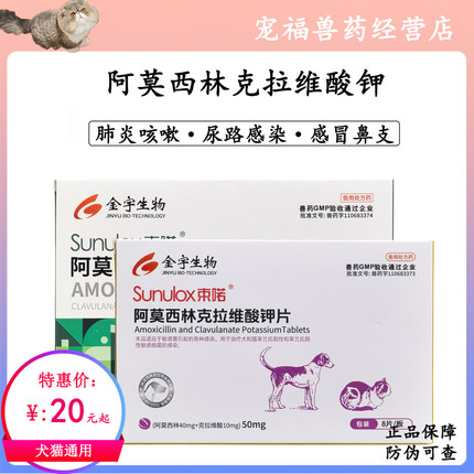 阿莫西林克拉维酸钾消炎犬猫感冒猫鼻支尿路感染宠物腹泻呕吐肠炎