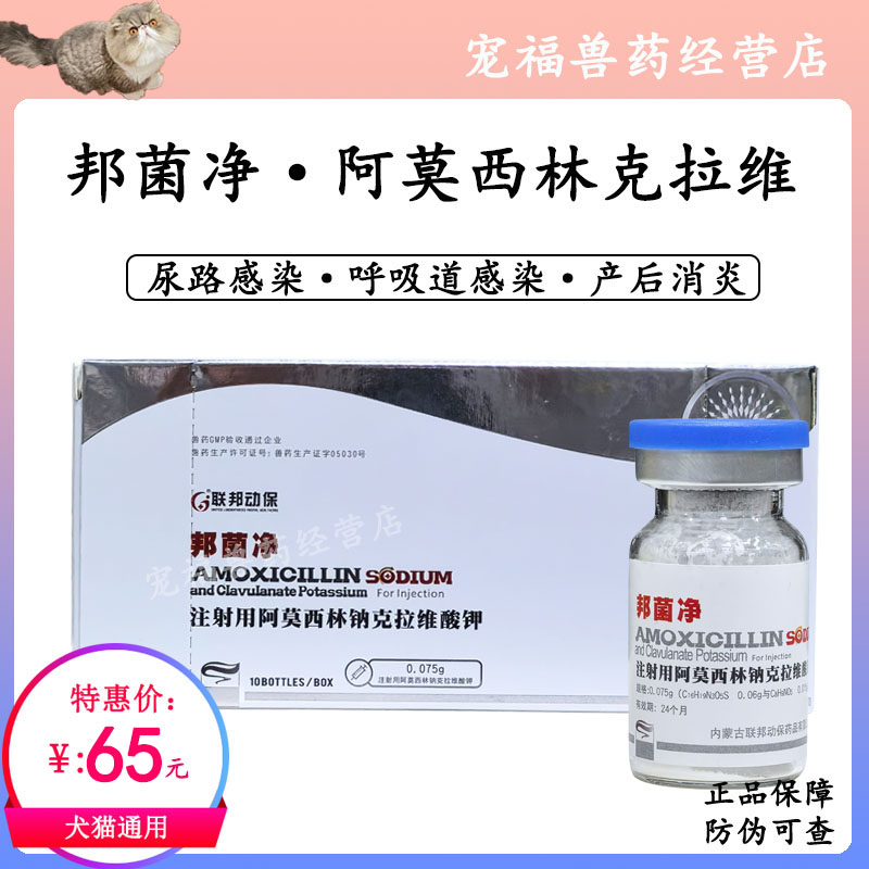 联邦邦菌净注射用阿莫西林克拉维酸钾产后消炎抗菌呼吸道尿路感染