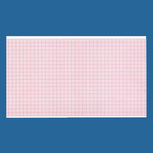埃顿ECG 铃谦302 112 六导 东江1206心电图纸