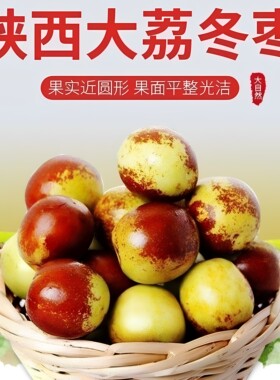 陕西大荔冬枣皮薄脆甜现摘
