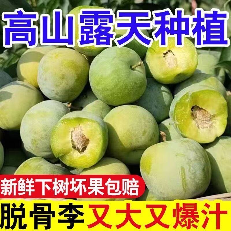 【正宗】贵州六马脱骨青脆李应季孕妇水果酸甜爽口李子SS
