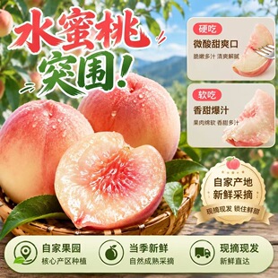 【正宗突围水蜜桃】现摘现发毛桃早熟大果甘甜脆软新鲜两吃SS