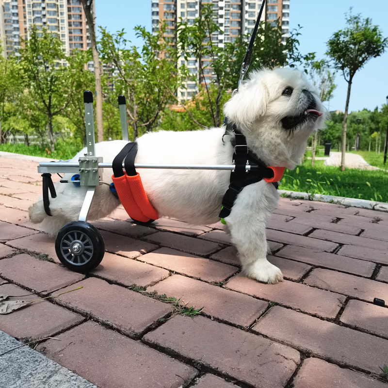 狗轮椅瘫痪残疾狗后肢支架骨折脊椎受伤狗猫代步车老年犬方便安装-封面