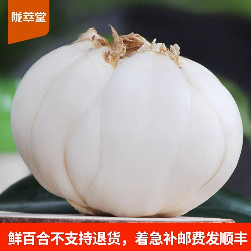 陇萃堂鲜百合三头皇500g兰州特产农家真空甜百合新鲜百合干食用,粮油调味/速食/干货/烘焙,百合干,淘宝优惠券,粉丝福利购,淘宝优惠卷