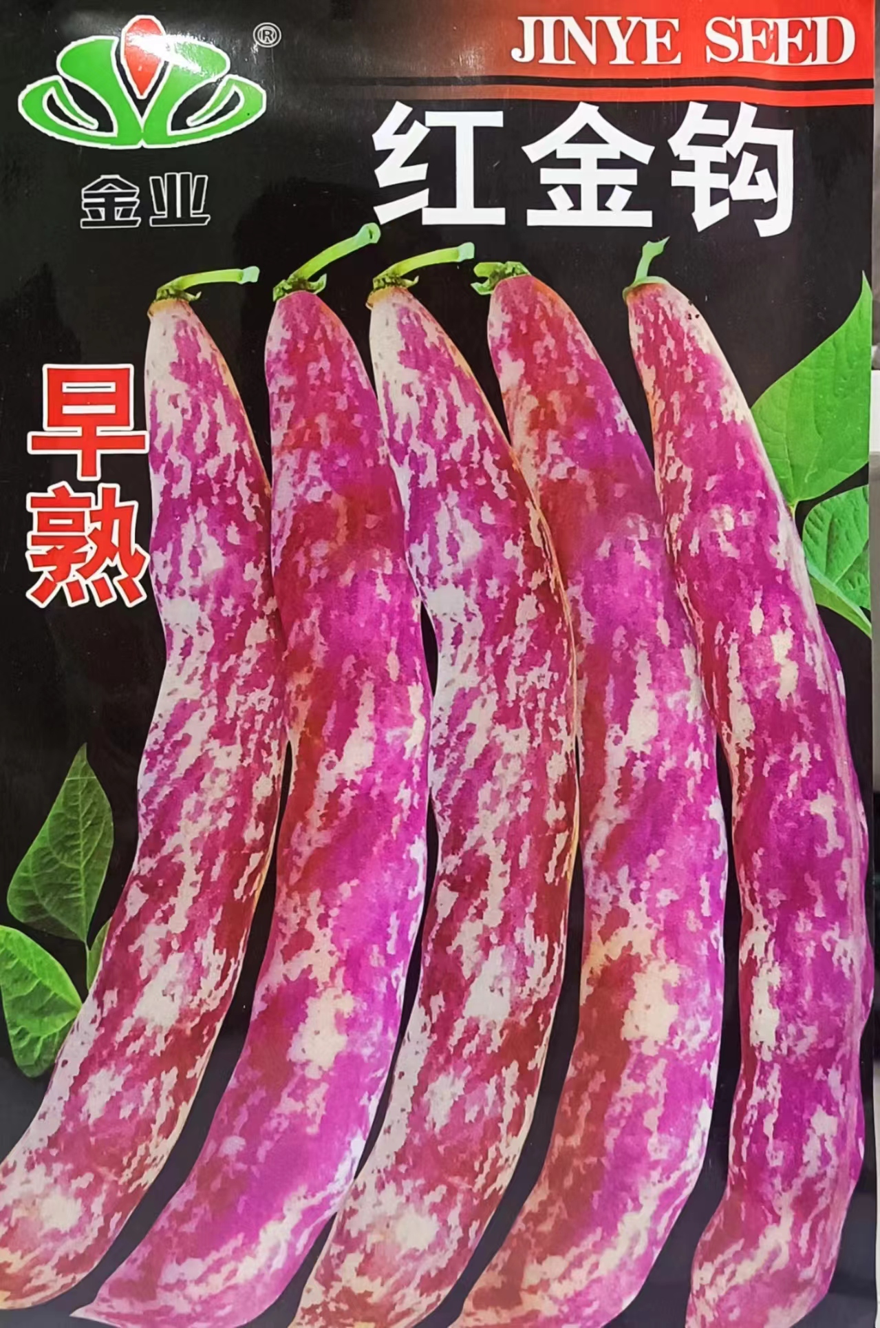 东北红金勾钩豆角种子种籽炖肉沟扁豆芸豆红豆角四季黄金钩大全