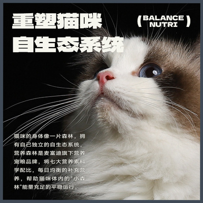 麦富迪猫粮营养森林成猫幼猫全价全期冻干猫主粮成猫幼猫厂家直发