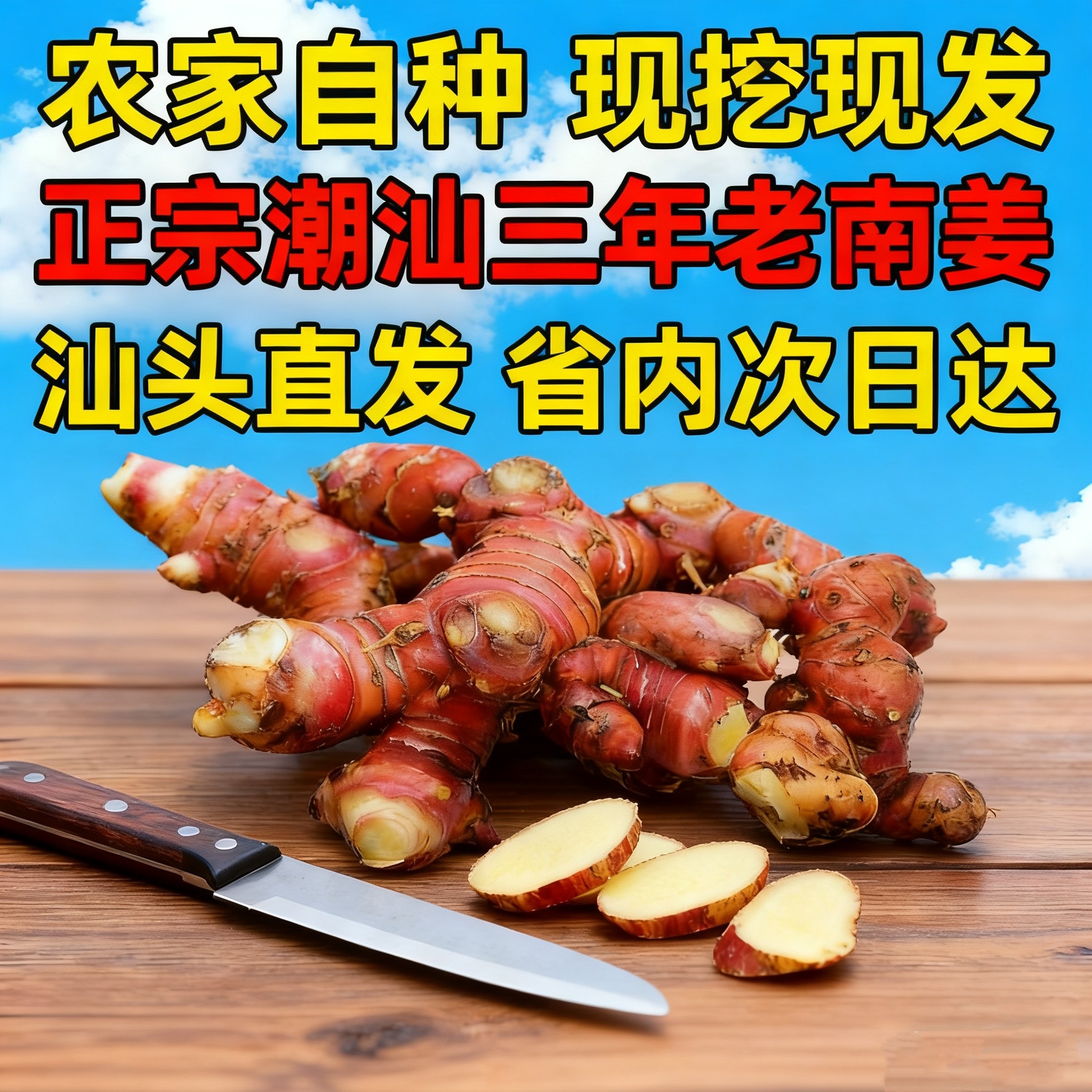 【现挖现发】潮汕南姜3年以上老姜新鲜调味品生态种植产地直发