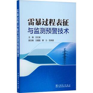 雷暴过程表征与监测预警技术 王红斌 自然科学书籍