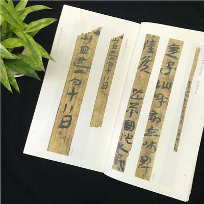正版书籍 敦煌马圈湾汉简书法:二张德芳上海书画出版社艺术  人天书店畅销书排行榜