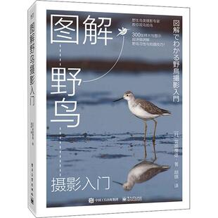 正版书籍 图解野鸟摄影入门菅原贵德电子工业出版社艺术野禽艺术摄影中国现代摄影集普通大众人天书店畅销书排行榜