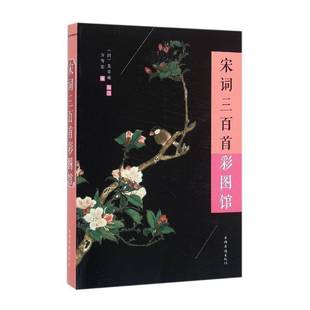 正版书籍 宋词三百首彩图馆朱孝臧中国华侨出版社古籍国学 人天书店畅销书排行榜