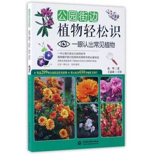 正版书籍 公园街边植物轻松识:一眼认出常见植物张华中国水利水电出版社自然科学植物普及读物 人天书店畅销书排行榜